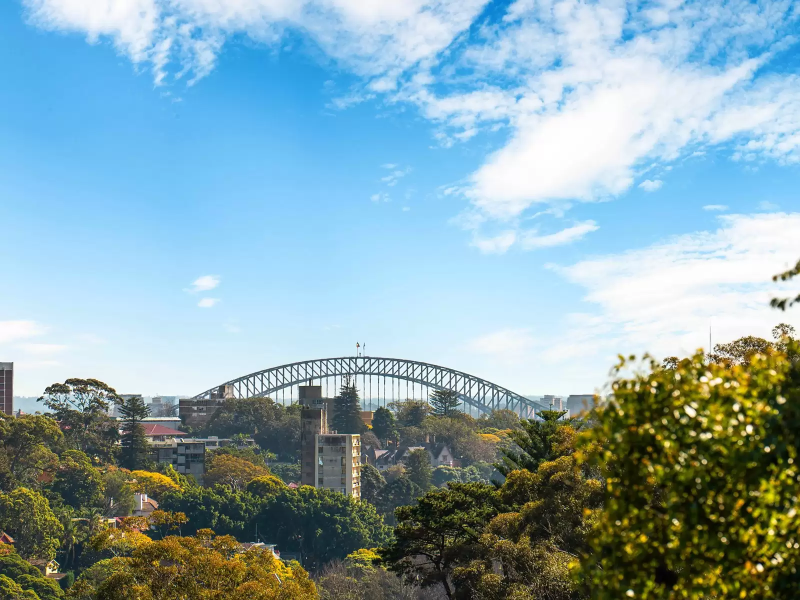 85 Adelaide Parade, Woollahra Sold by Sydney Sotheby's International Realty - image 11