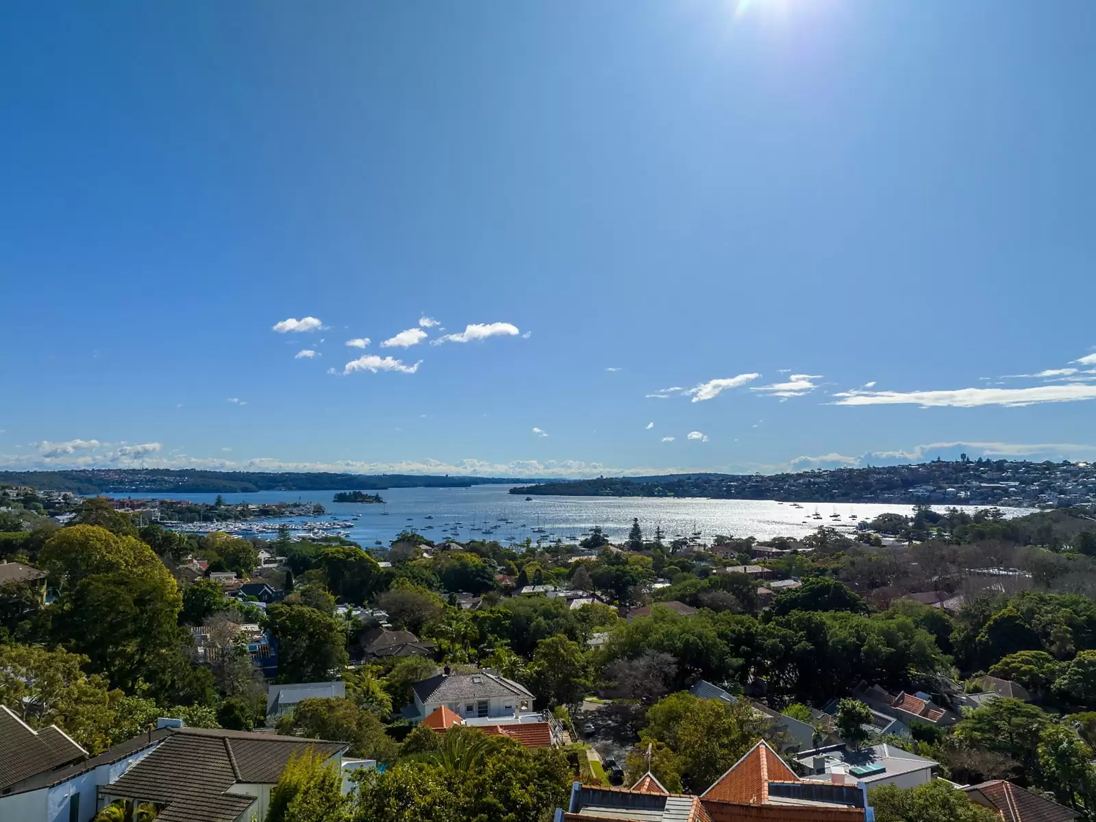 24A Drumalbyn Road, Bellevue Hill Sold by Sydney Sotheby's International Realty - image 10