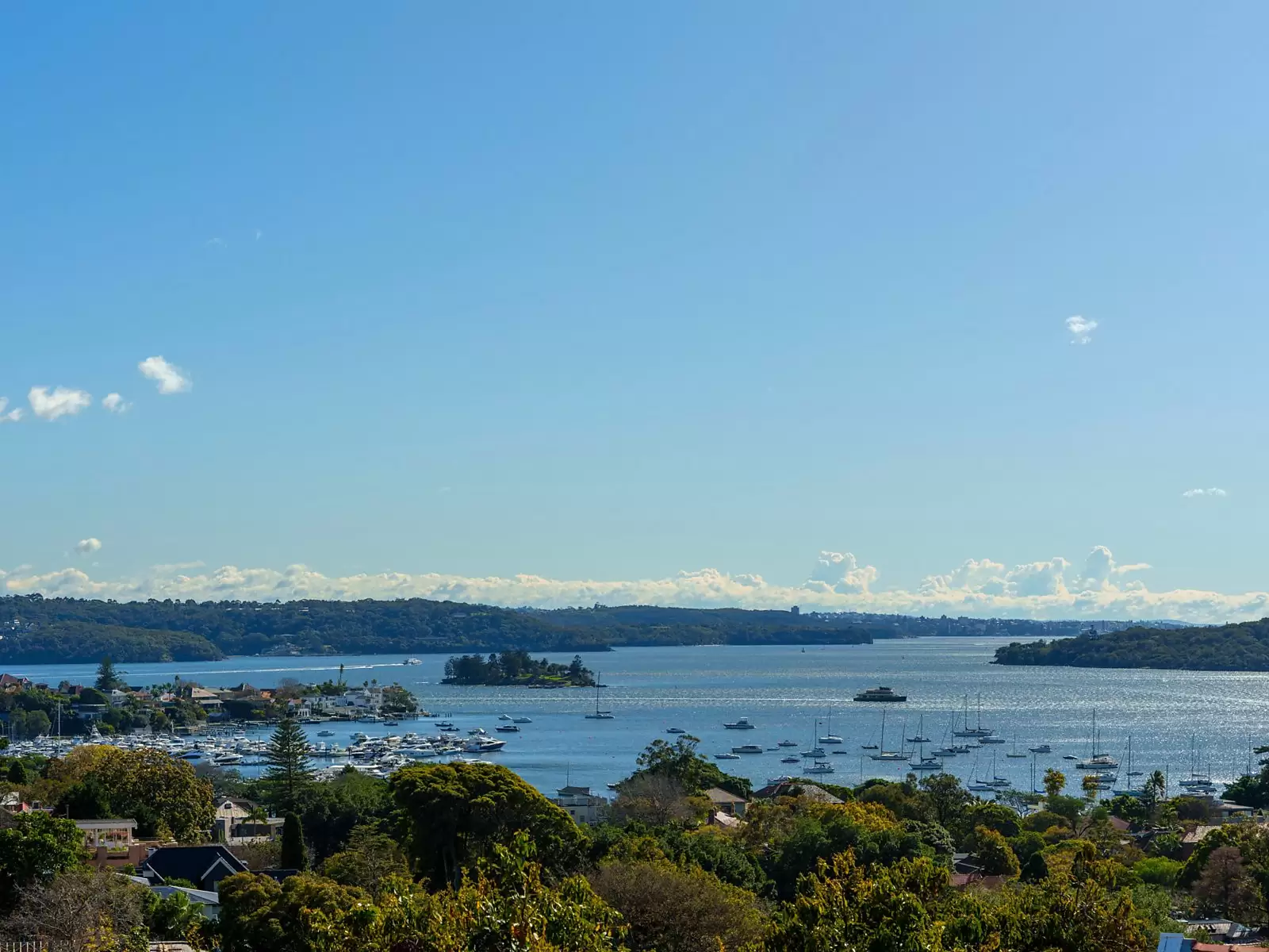 24A Drumalbyn Road, Bellevue Hill Sold by Sydney Sotheby's International Realty - image 1