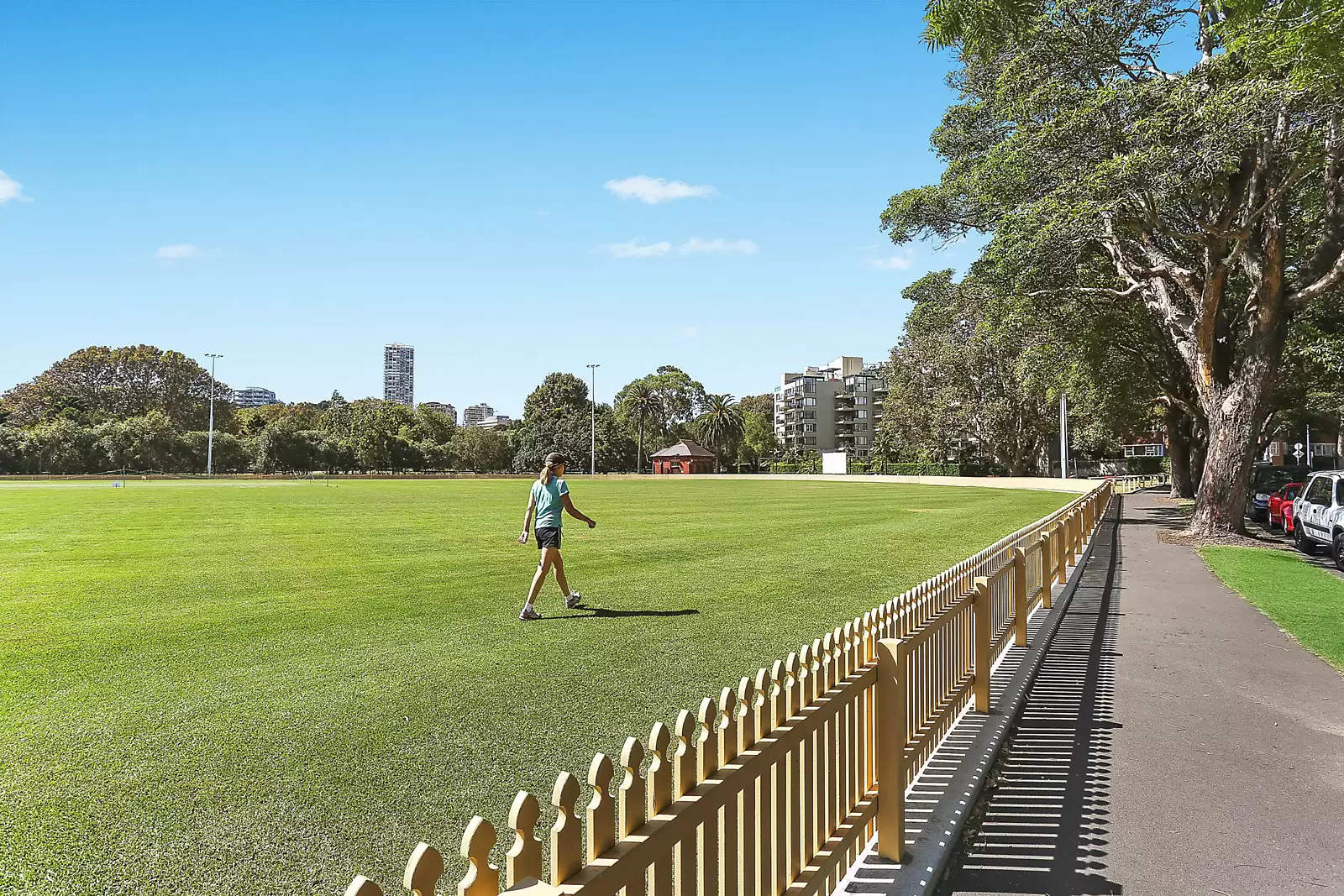 23 South Street, Edgecliff Sold by Sydney Sotheby's International Realty - image 10