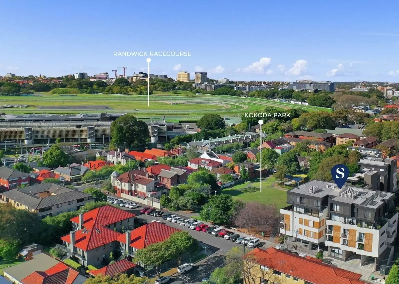 304/2-6 Goodwood Street, Kensington Sold by Sydney Sotheby's International Realty - image 11