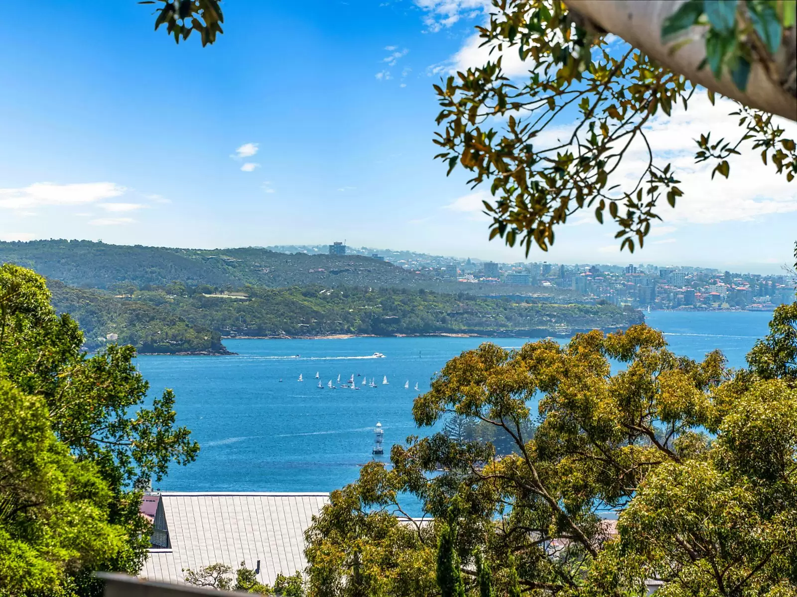 15B Ginahgulla Road, Bellevue Hill Sold by Sydney Sotheby's International Realty - image 4