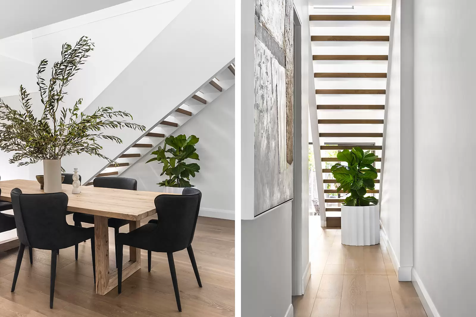6 Sully Street, Randwick Sold by Sydney Sotheby's International Realty - image 10