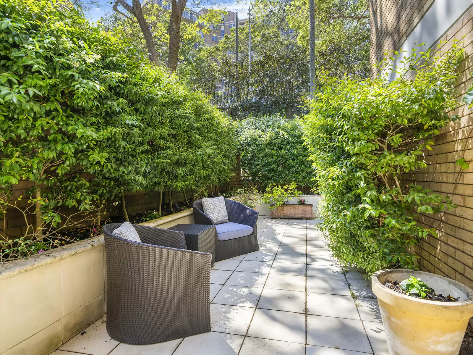 5/54 Darling Point Road, Darling Point Sold by Sydney Sotheby's International Realty - image 4