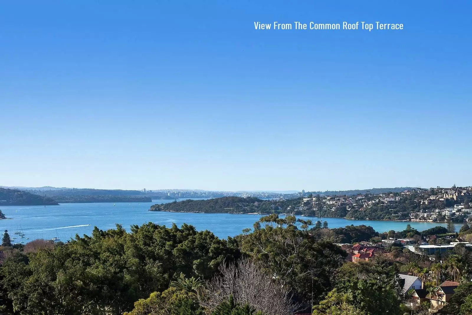 10/93 Drumalbyn Road, Bellevue Hill Sold by Sydney Sotheby's International Realty - image 12