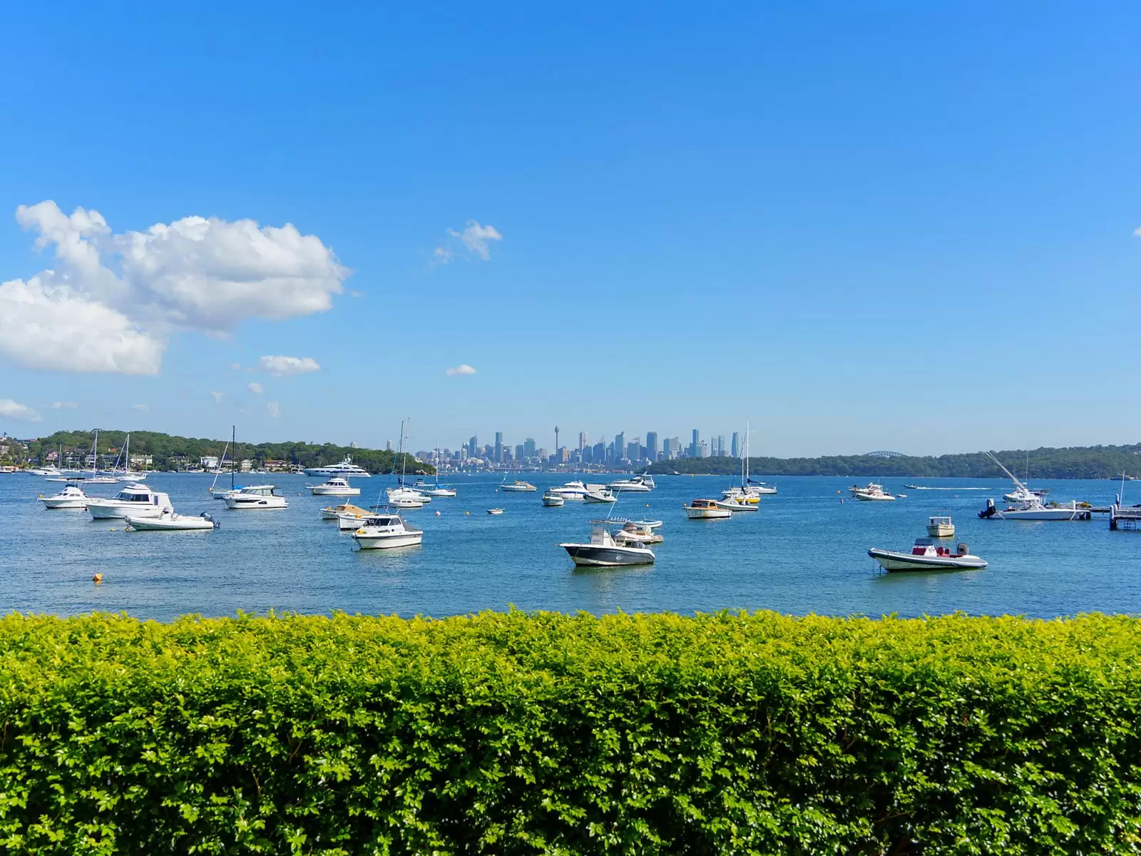 23 Marine Parade, Watsons Bay Sold by Sydney Sotheby's International Realty - image 6