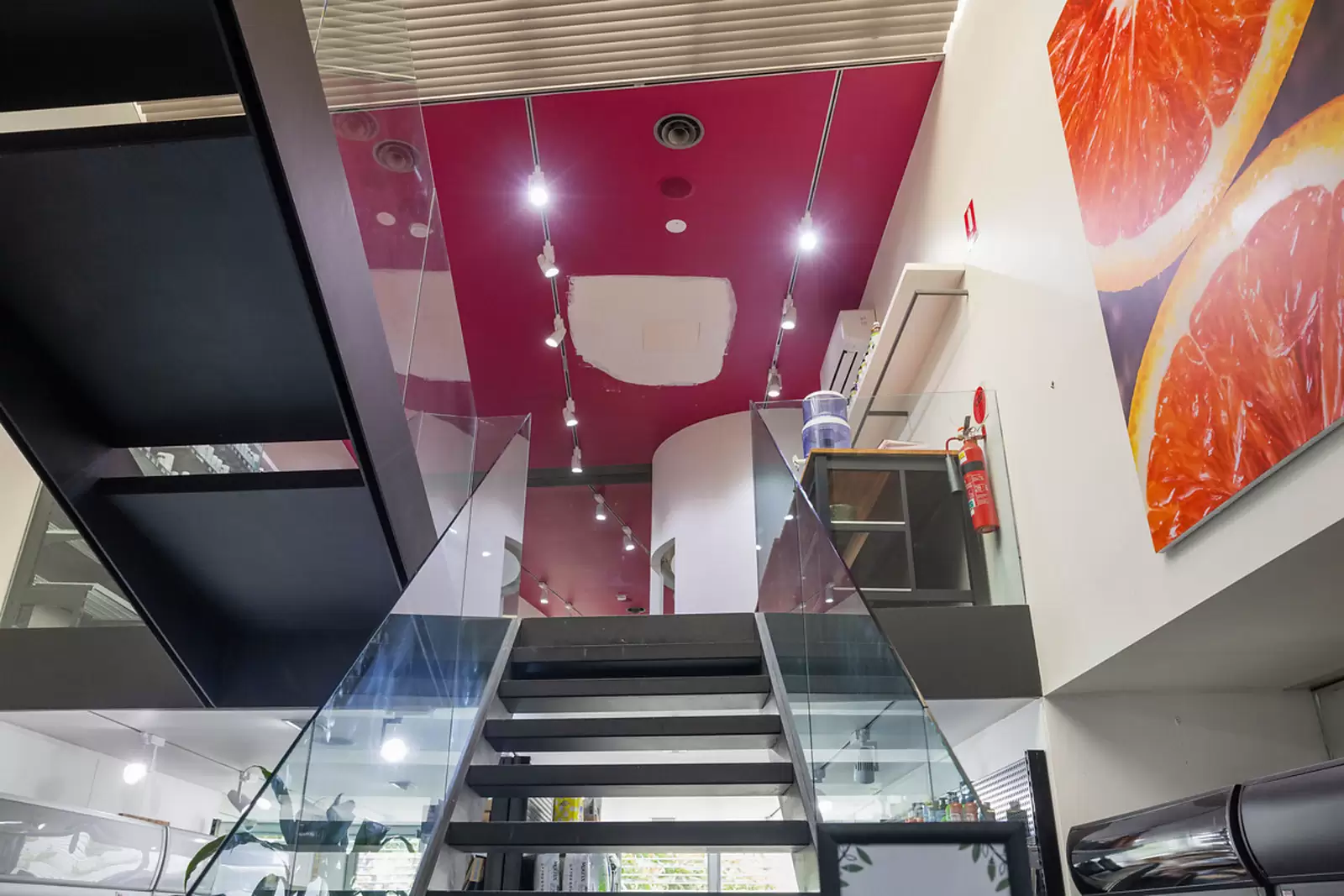 426 Oxford Street, Paddington Sold by Sydney Sotheby's International Realty - image 4