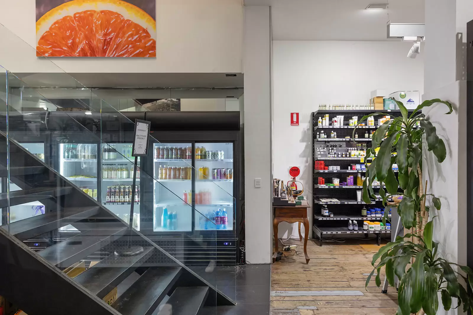 426 Oxford Street, Paddington Sold by Sydney Sotheby's International Realty - image 2