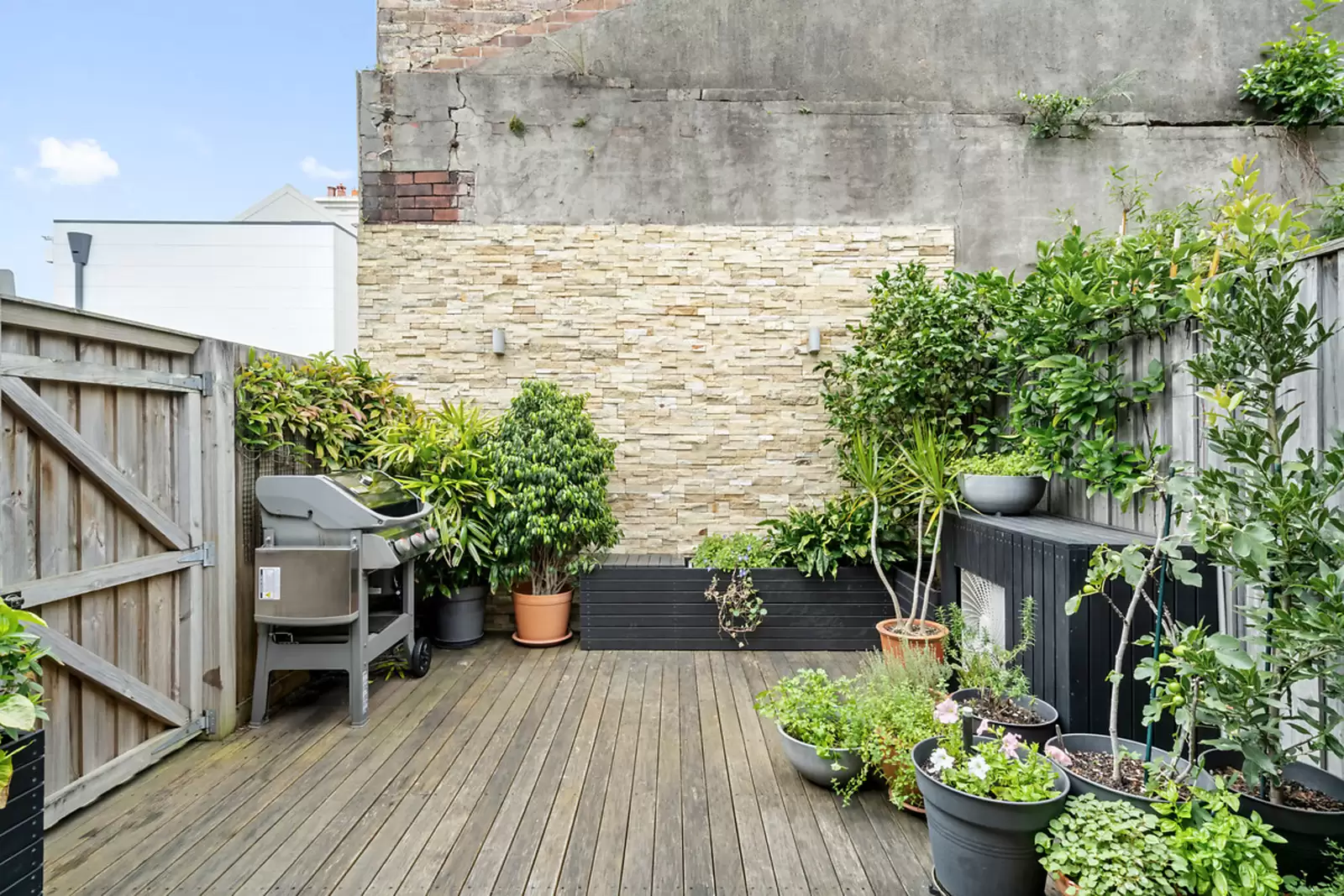 32 Gipps Street, Paddington Sold by Sydney Sotheby's International Realty - image 4
