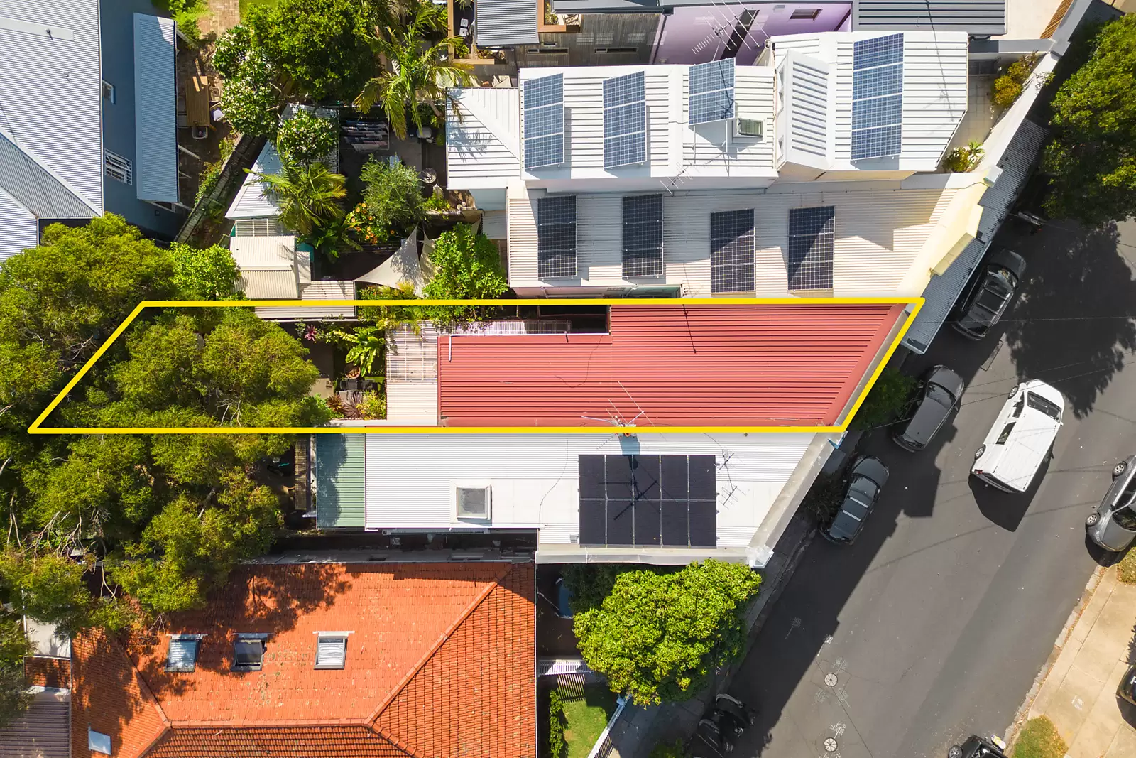 19 Burnie Street, Clovelly Sold by Sydney Sotheby's International Realty - image 7