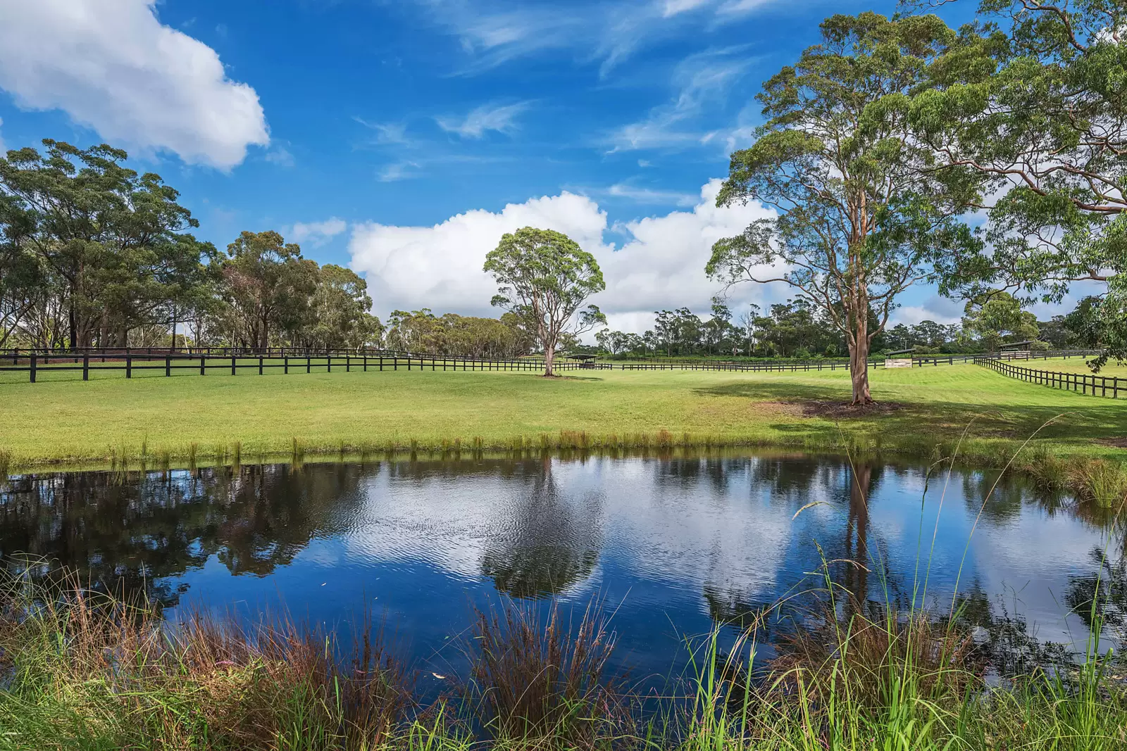 970 Peats Ridge Road, Central Mangrove Sold by Sydney Sotheby's International Realty - image 23