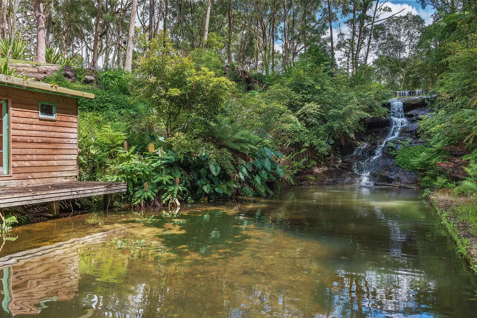 970 Peats Ridge Road, Central Mangrove Sold by Sydney Sotheby's International Realty - image 22