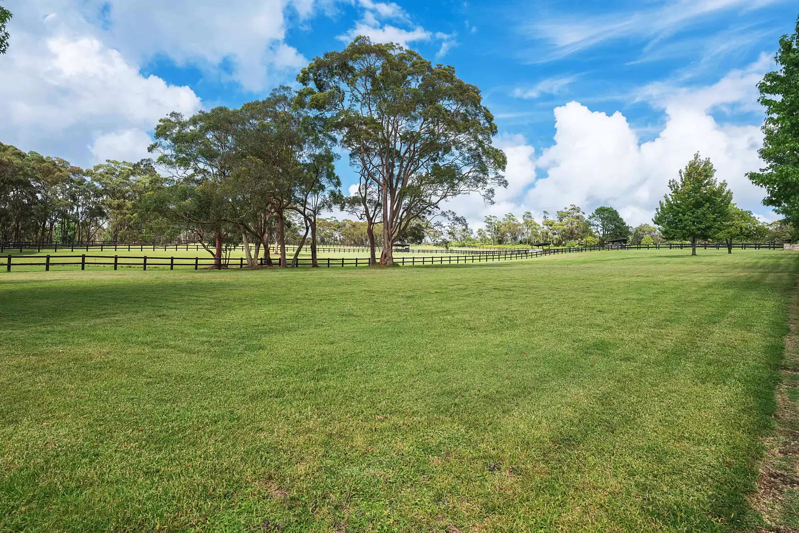970 Peats Ridge Road, Central Mangrove Sold by Sydney Sotheby's International Realty - image 24