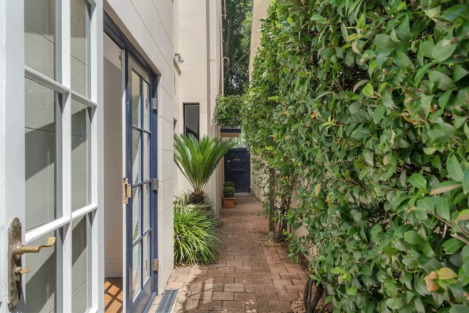36 Walter Street, Paddington Sold by Sydney Sotheby's International Realty - image 9