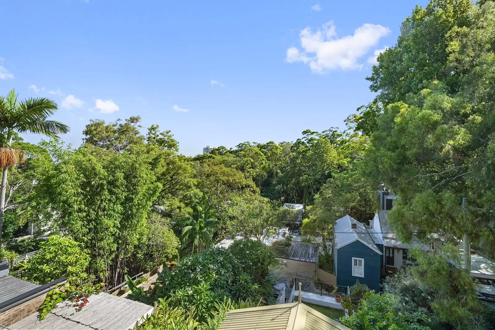172 Sutherland Street, Paddington Sold by Sydney Sotheby's International Realty - image 7