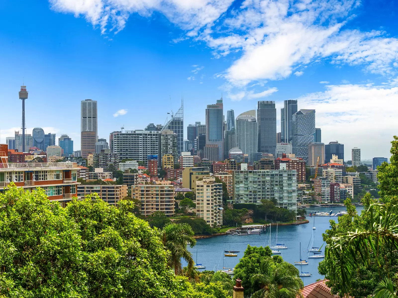 3A/81 Darling Point Road, Darling Point Sold by Sydney Sotheby's International Realty - image 11