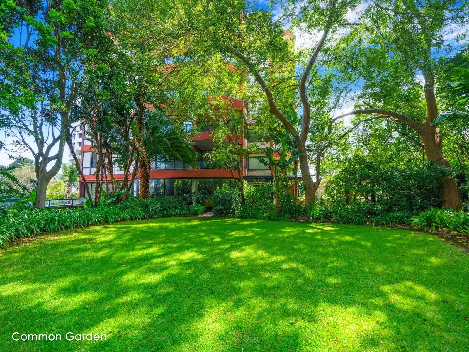 3A/81 Darling Point Road, Darling Point Sold by Sydney Sotheby's International Realty - image 19