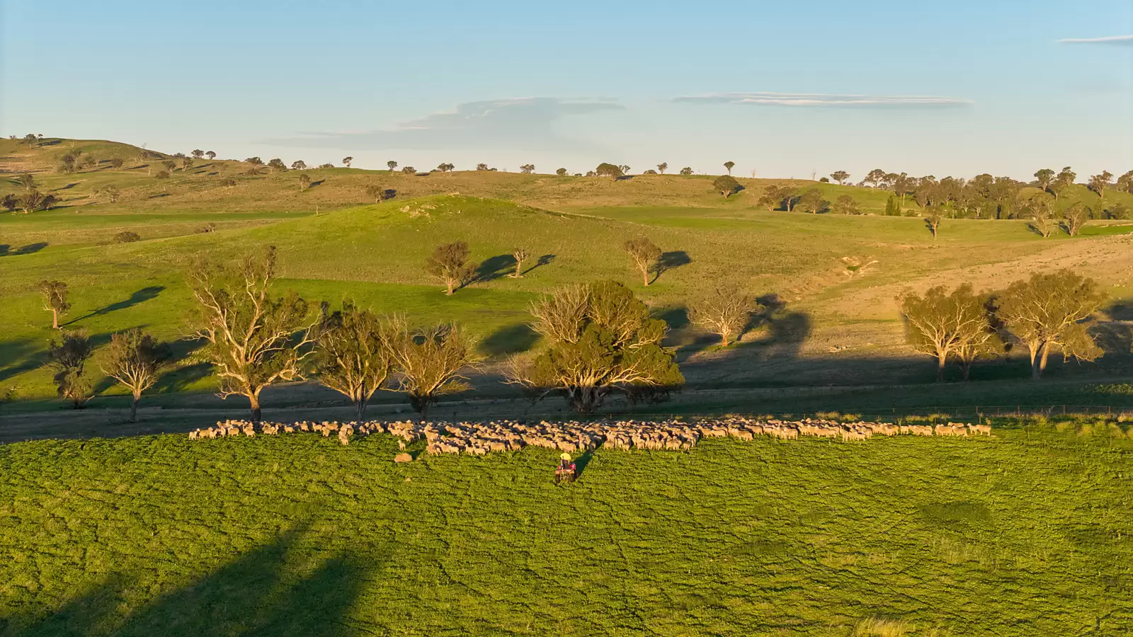 'Dowan Hill' Connells Lane, Yass Sold by Sydney Sotheby's International Realty - image 8