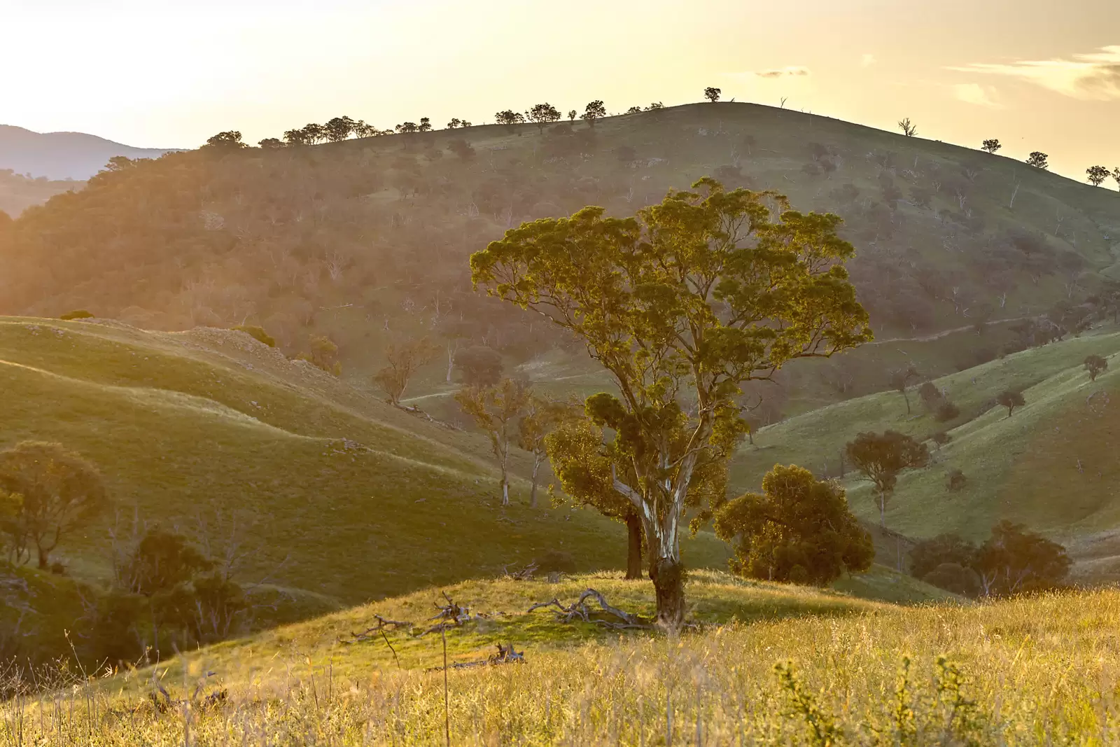 'Dowan Hill' Connells Lane, Yass Sold by Sydney Sotheby's International Realty - image 2