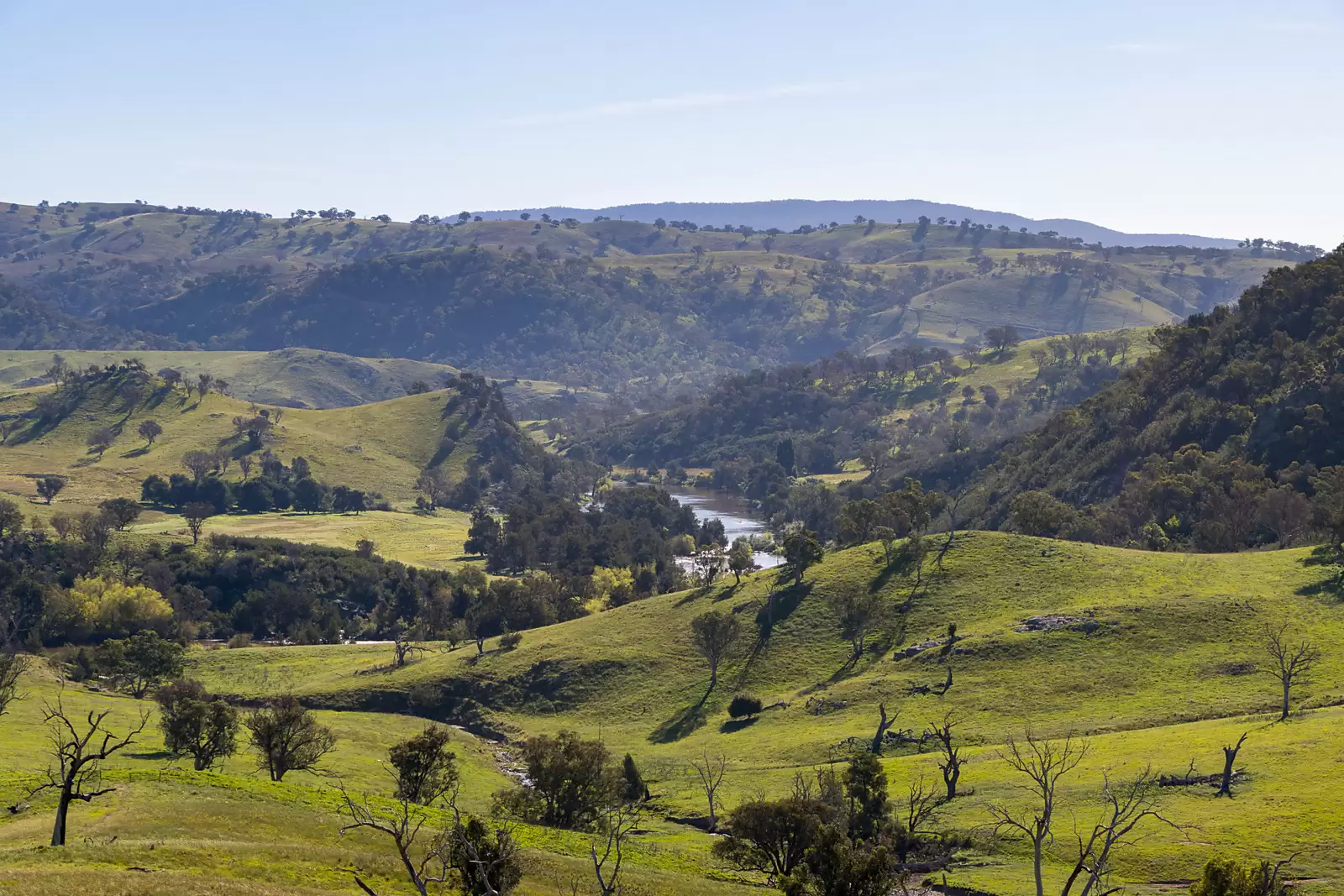 'Dowan Hill' Connells Lane, Yass Sold by Sydney Sotheby's International Realty - image 5