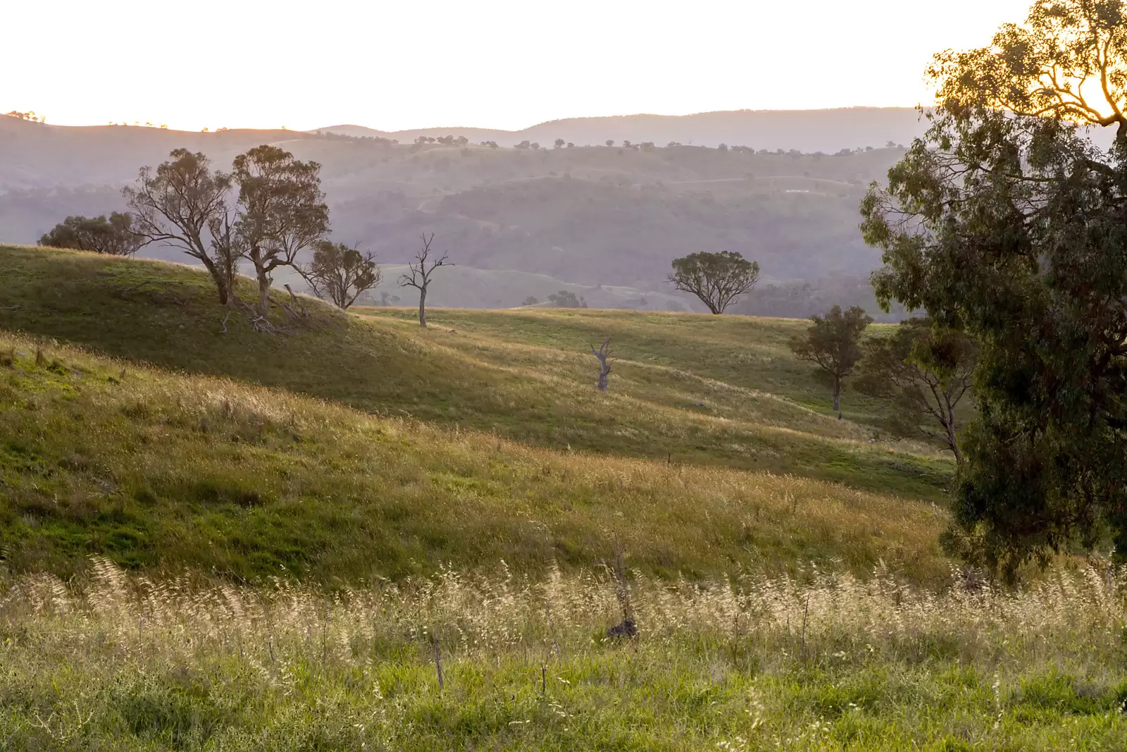 'Dowan Hill' Connells Lane, Yass Sold by Sydney Sotheby's International Realty - image 9