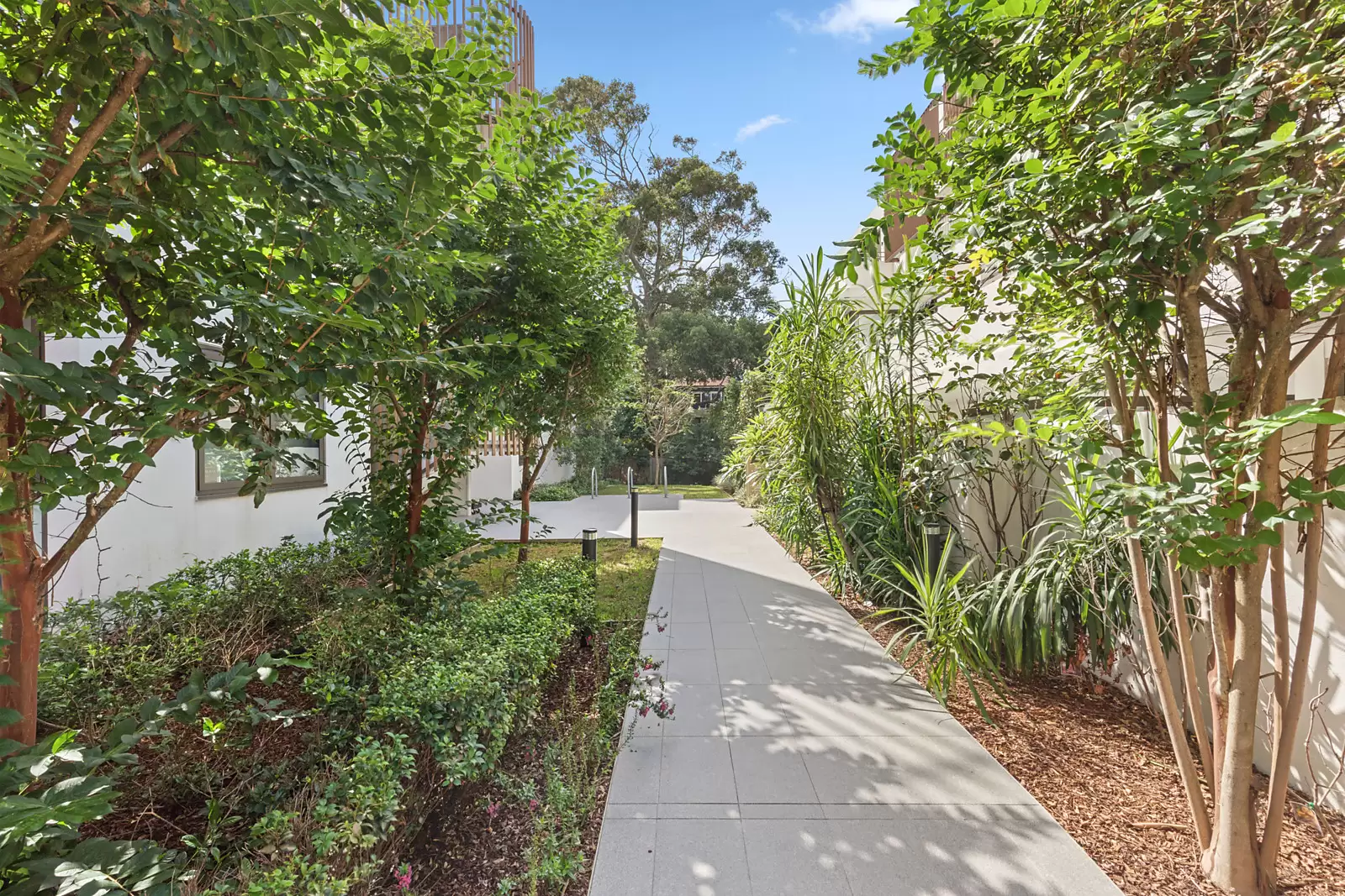 305/105 Wellington Street, Bondi Beach Sold by Sydney Sotheby's International Realty - image 16