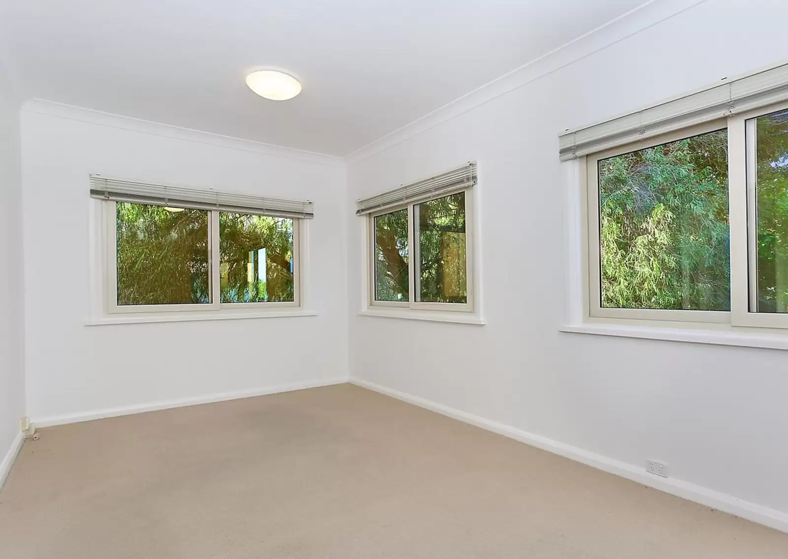 3/58 Arcadia Street, Coogee Sold by Sydney Sotheby's International Realty - image 3