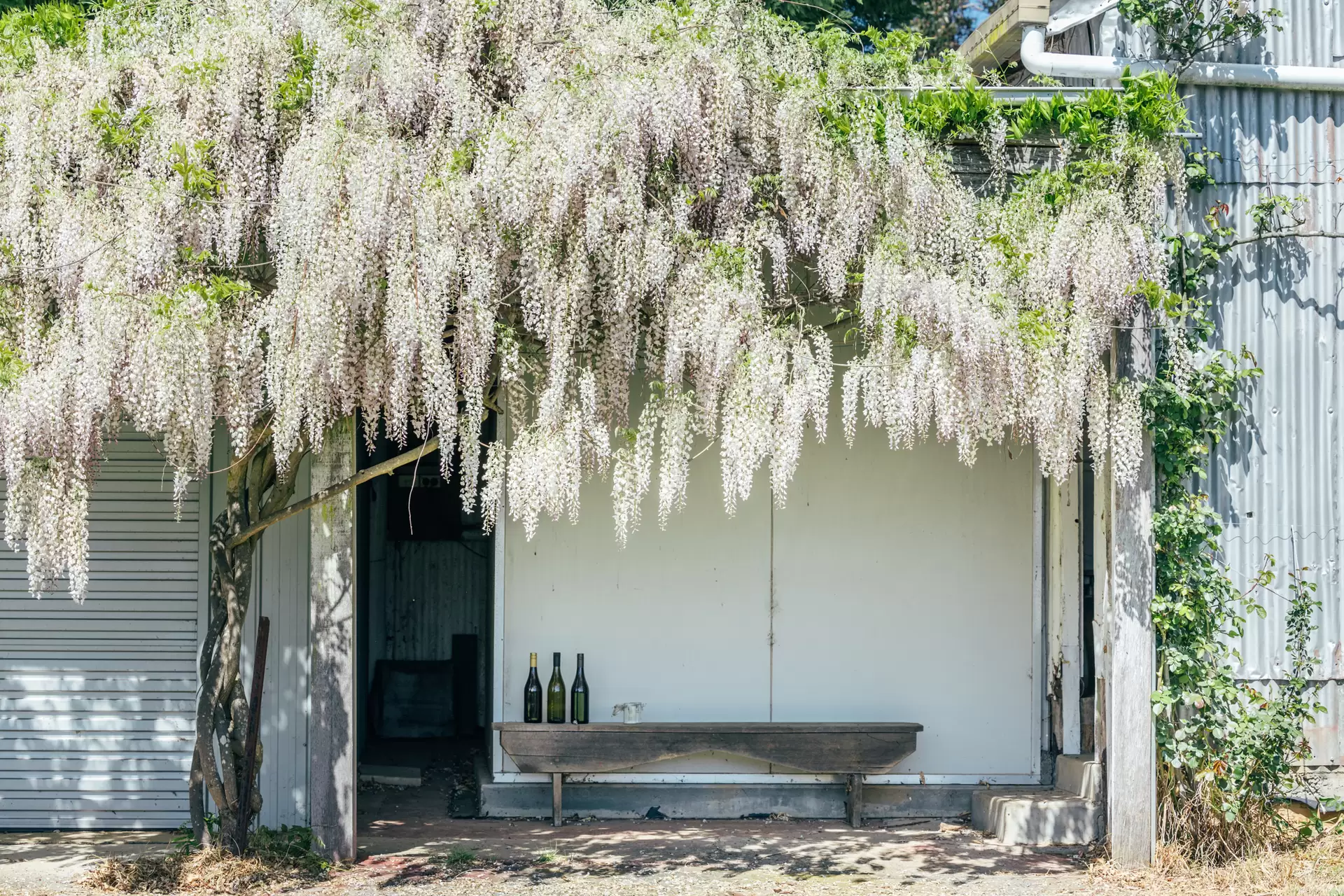705 Joadja Road, Mandemar Sold by Sydney Sotheby's International Realty - image 4