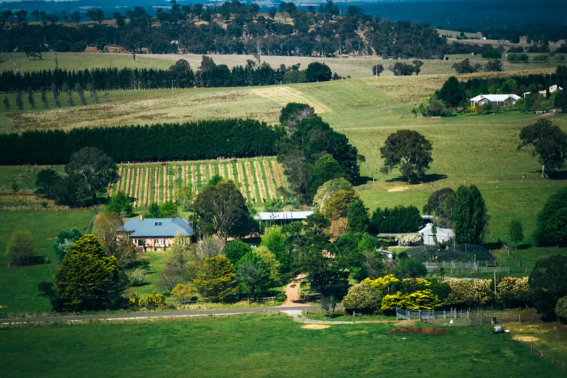 705 Joadja Road, Mandemar Sold by Sydney Sotheby's International Realty - image 31