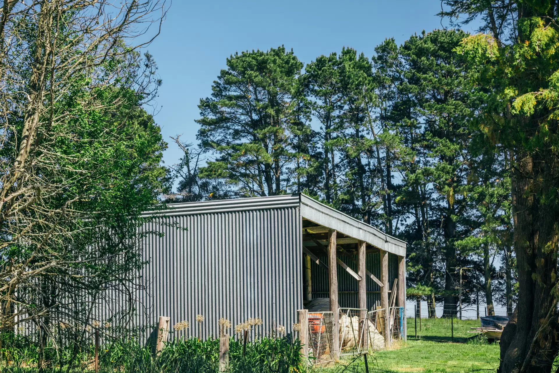 705 Joadja Road, Mandemar Sold by Sydney Sotheby's International Realty - image 29