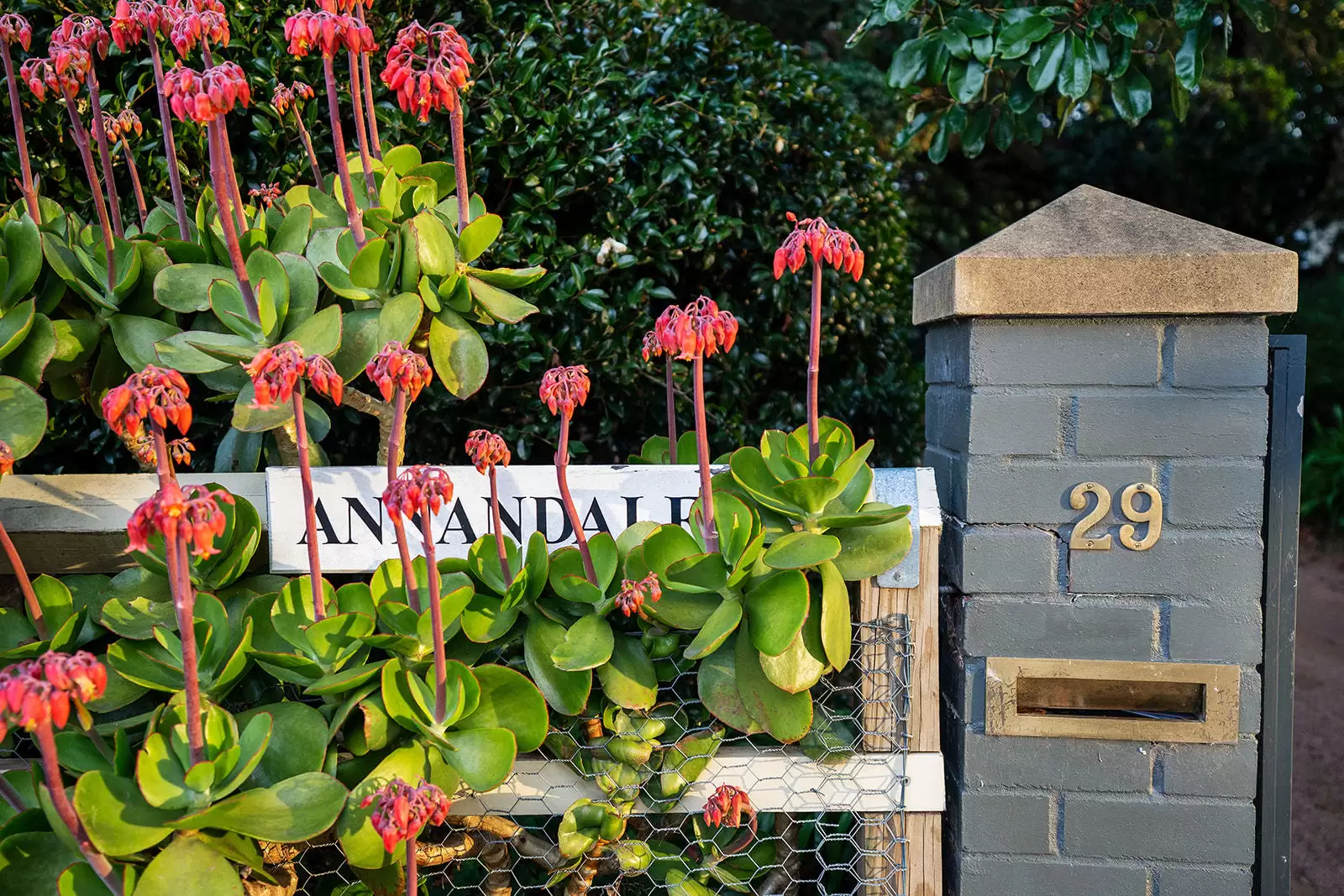 29-31 Merrigang Street, Bowral Sold by Sydney Sotheby's International Realty - image 28
