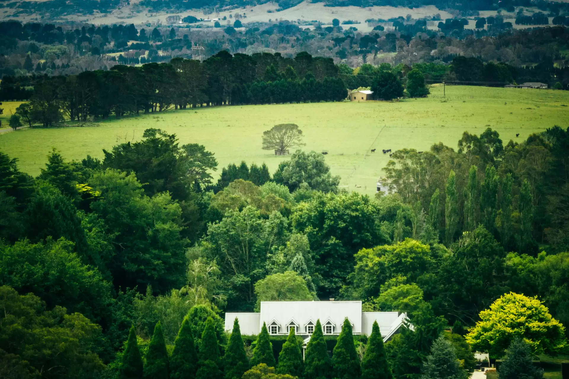 60 Middle Road, Exeter Sold by Sydney Sotheby's International Realty - image 26
