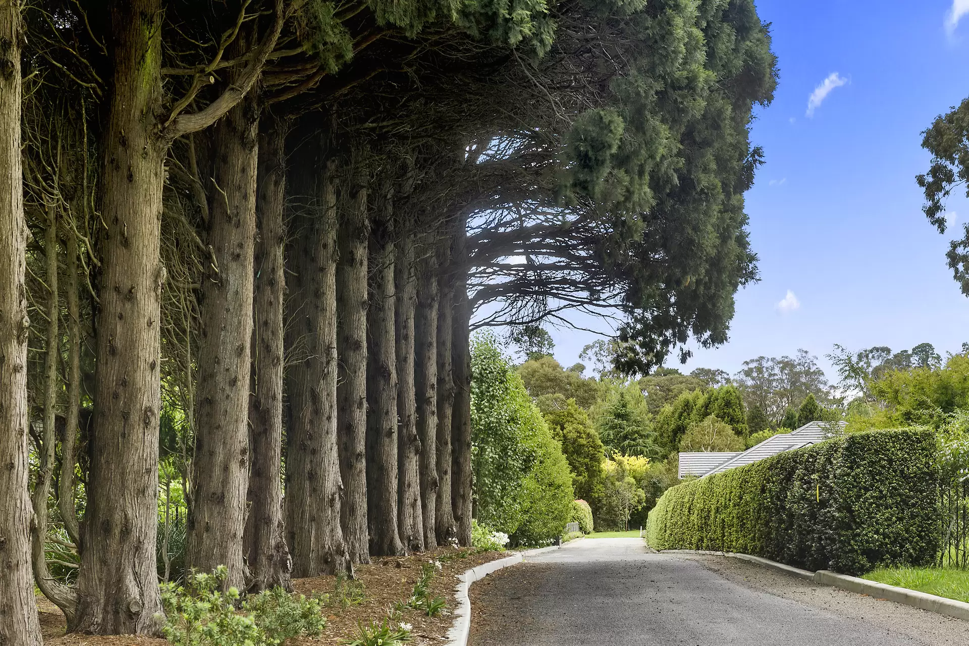 29B Links Road, Burradoo Sold by Sydney Sotheby's International Realty - image 6