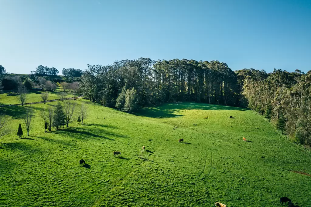 Lot 2/265 Wildes Meadow Road, Wildes Meadow Sold by Sydney Sotheby's International Realty