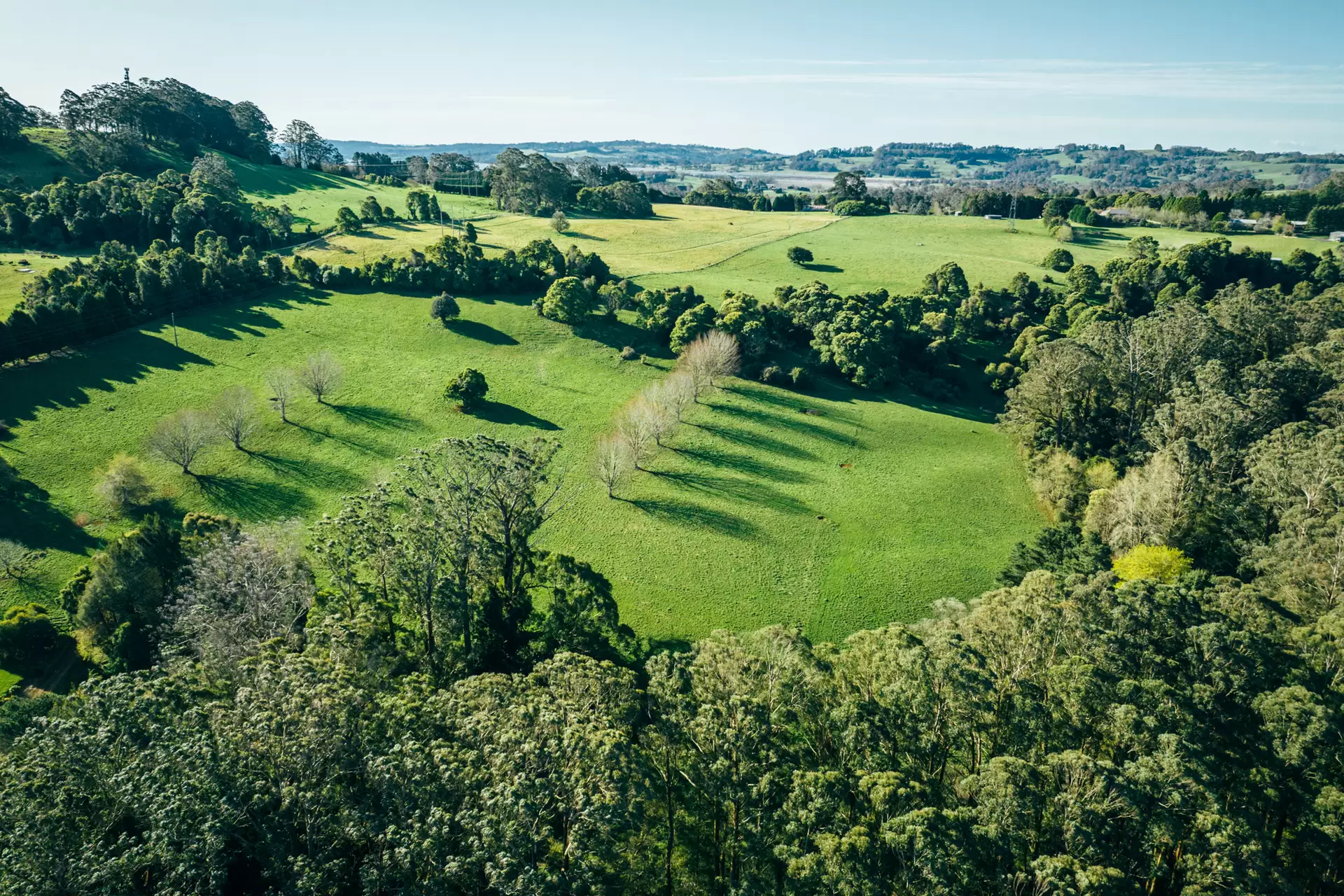 Lot 2/265 Wildes Meadow Road, Wildes Meadow Sold by Sydney Sotheby's International Realty - image 9