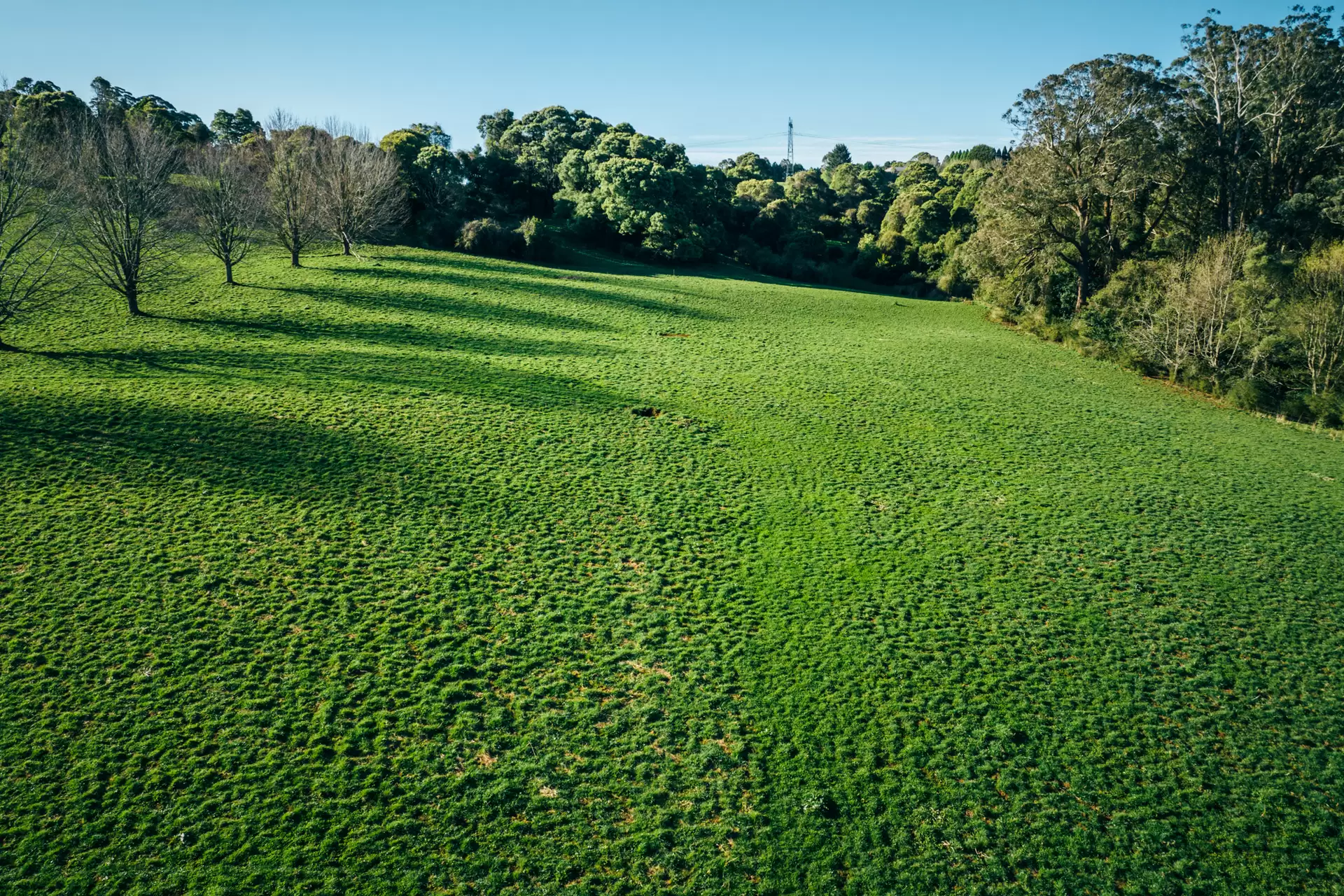 Lot 2/265 Wildes Meadow Road, Wildes Meadow Sold by Sydney Sotheby's International Realty - image 7