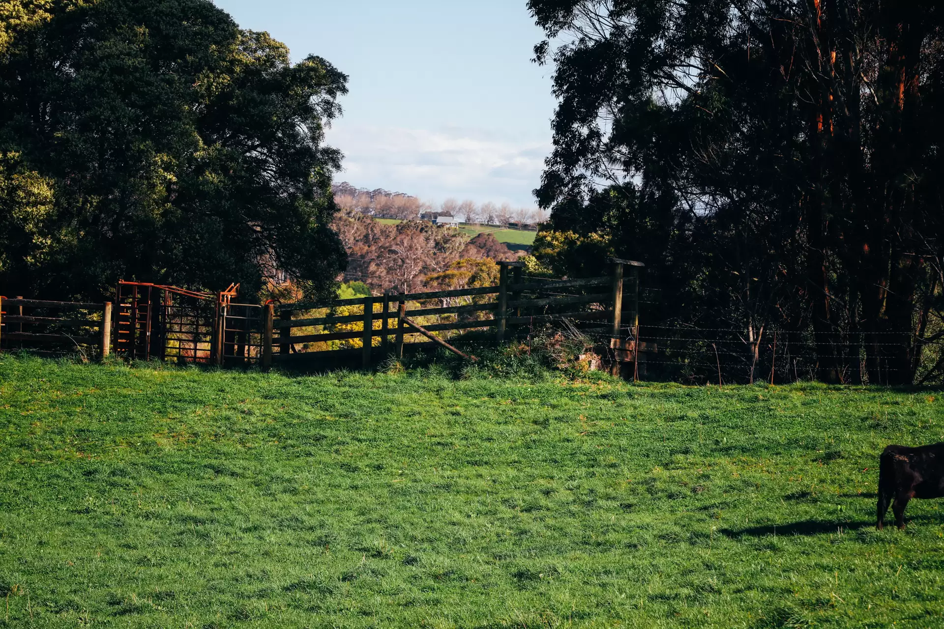 Lot 2/265 Wildes Meadow Road, Wildes Meadow Sold by Sydney Sotheby's International Realty - image 6