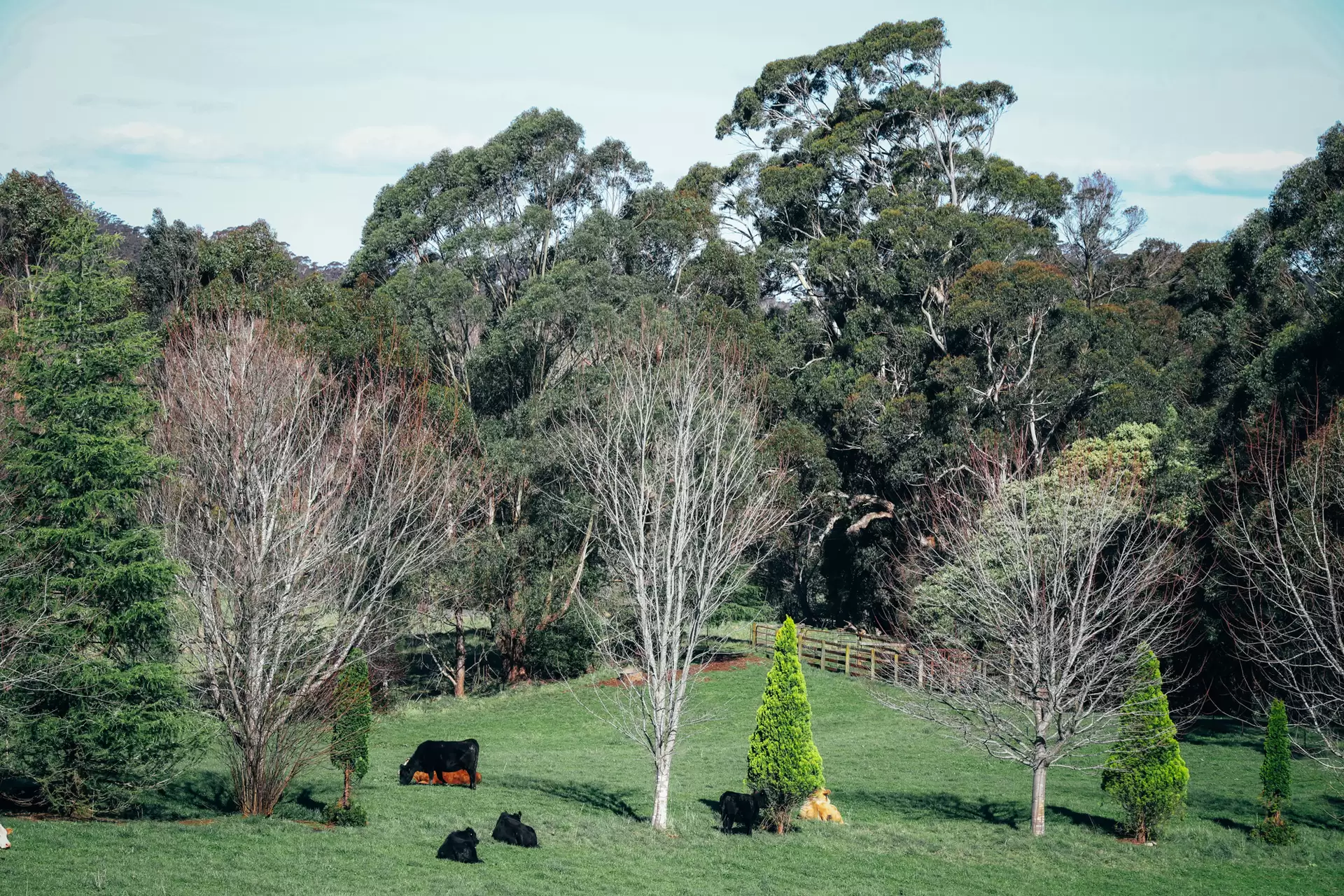 Lot 2/265 Wildes Meadow Road, Wildes Meadow Sold by Sydney Sotheby's International Realty - image 8