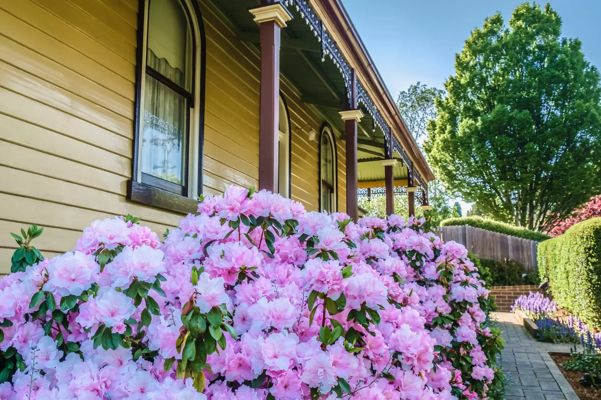 52 Shepherd Street, Bowral Sold by Sydney Sotheby's International Realty - image 5