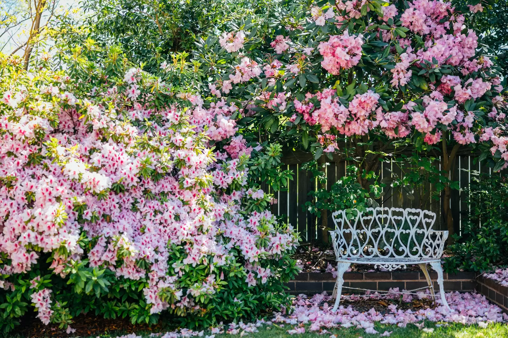 52 Shepherd Street, Bowral Sold by Sydney Sotheby's International Realty - image 19