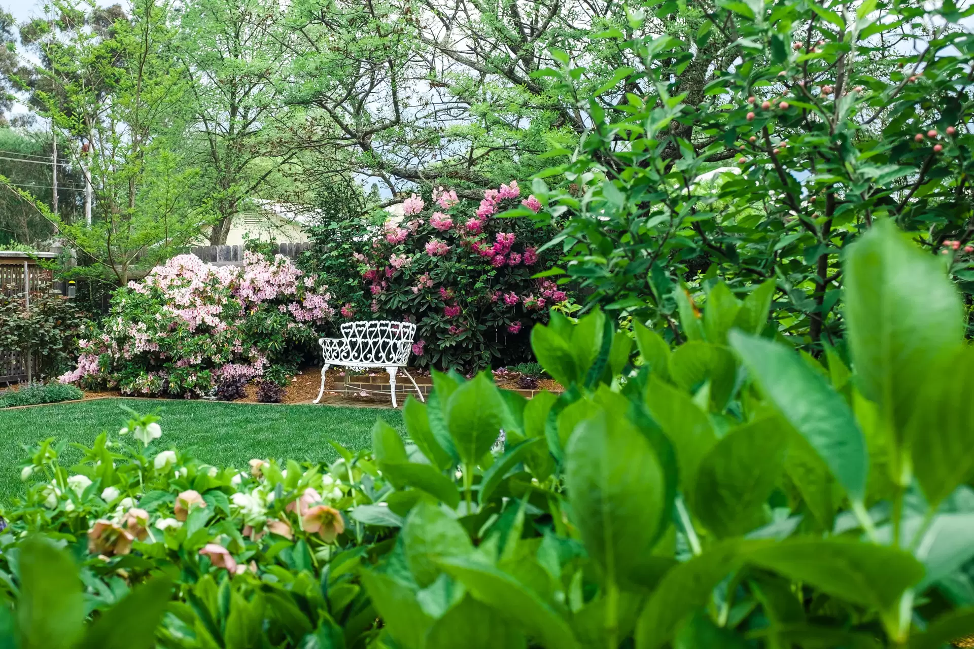 52 Shepherd Street, Bowral Sold by Sydney Sotheby's International Realty - image 20