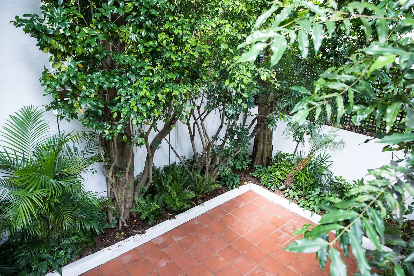 30 Spicer Street, Woollahra Leased by Sydney Sotheby's International Realty - image 8