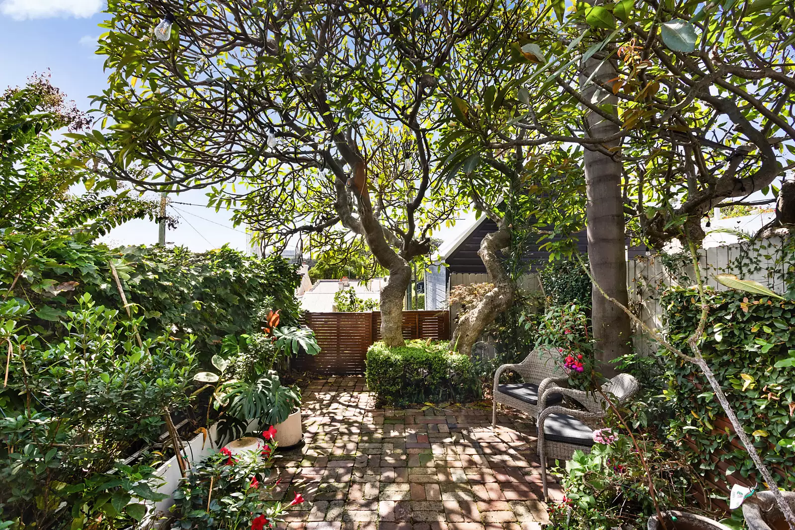62 Hargrave Street, Paddington Sold by Sydney Sotheby's International Realty - image 9