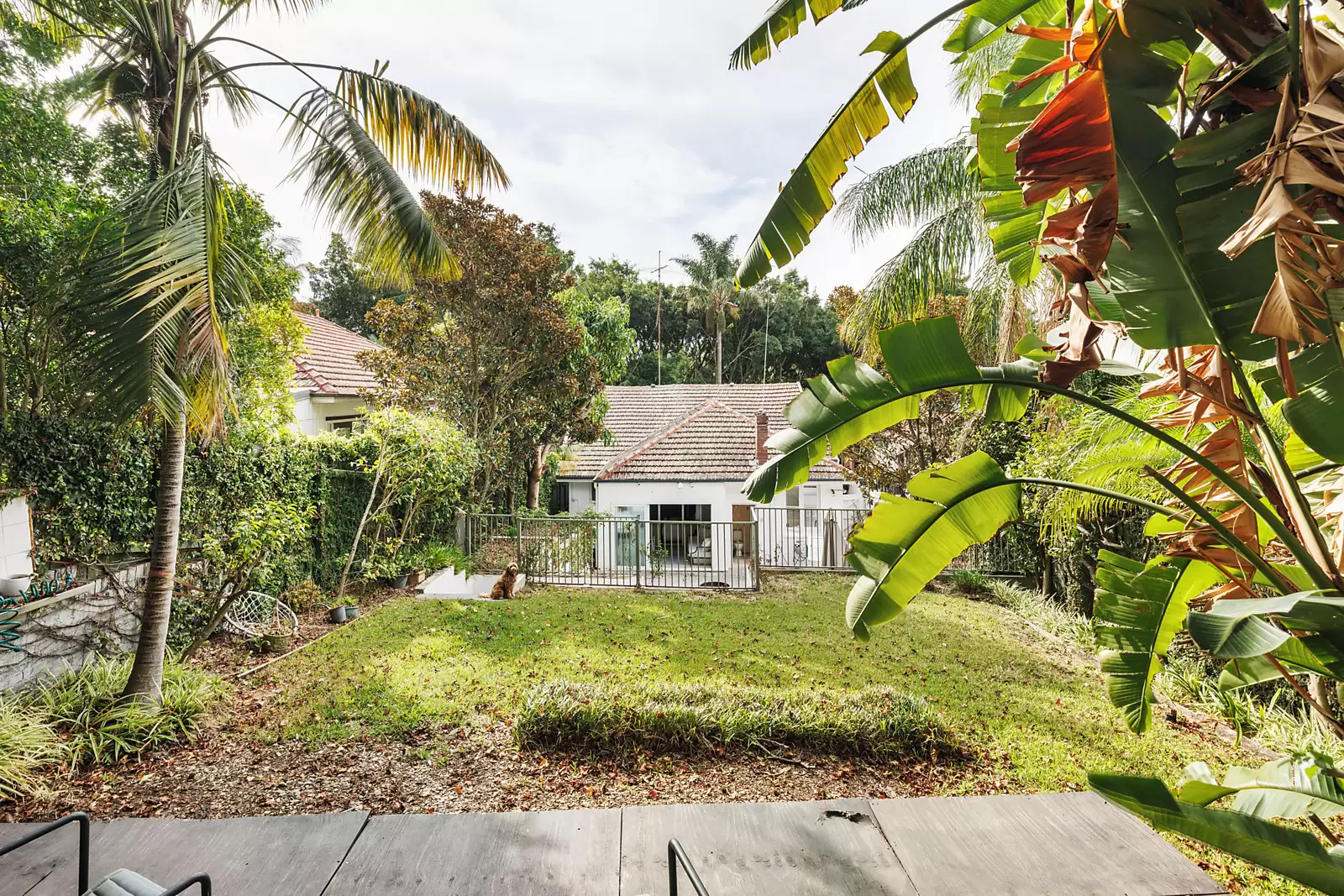 6 Forest Knoll Avenue, Bondi Beach Sold by Sydney Sotheby's International Realty - image 23