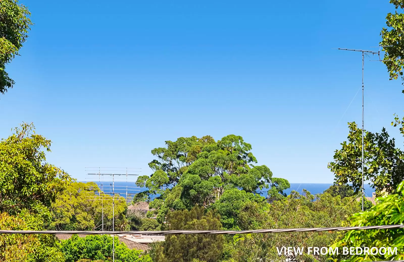 8 Judge Street, Randwick Sold by Sydney Sotheby's International Realty - image 5