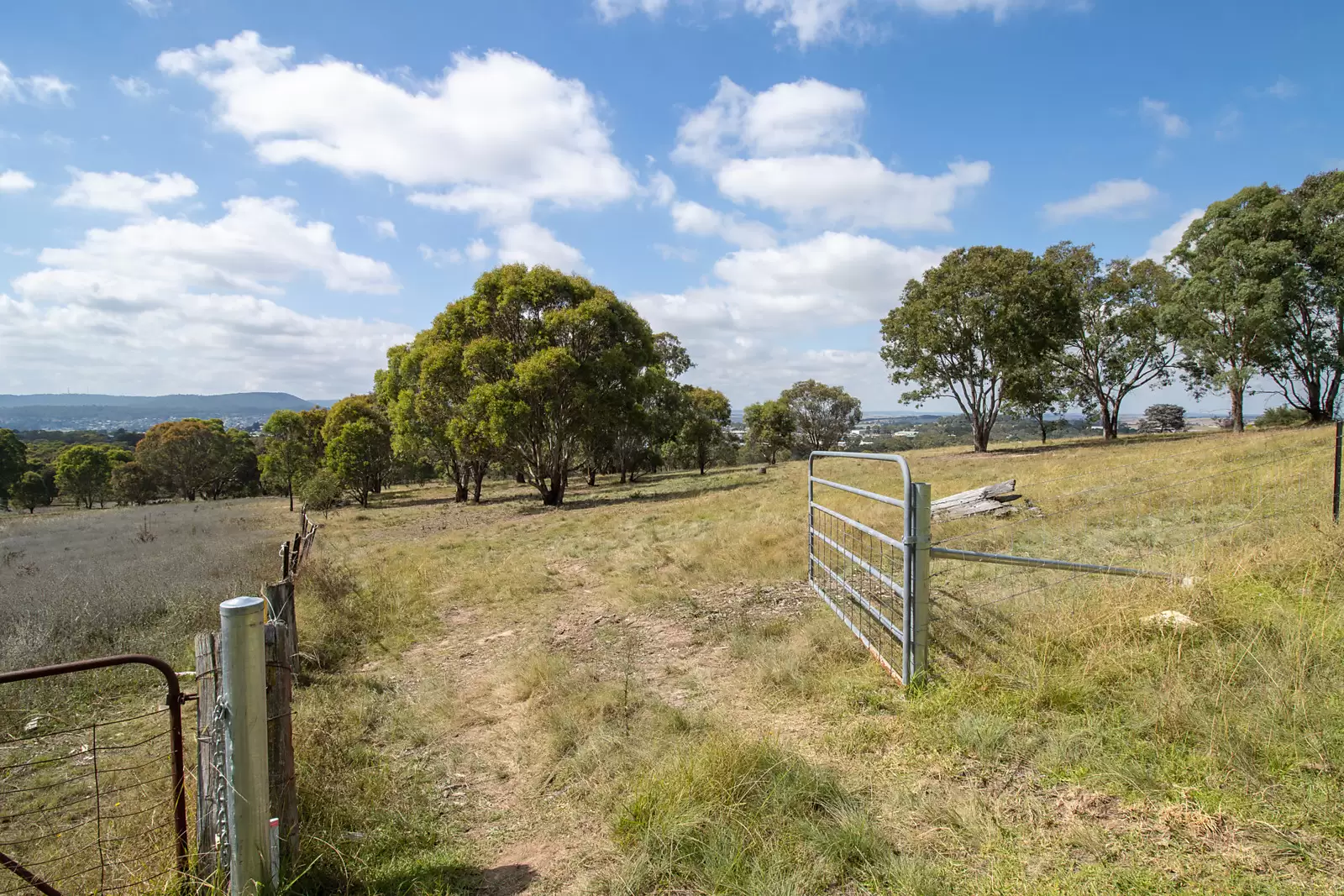 96 Cathcart Street, Goulburn Sold by Sydney Sotheby's International Realty - image 9