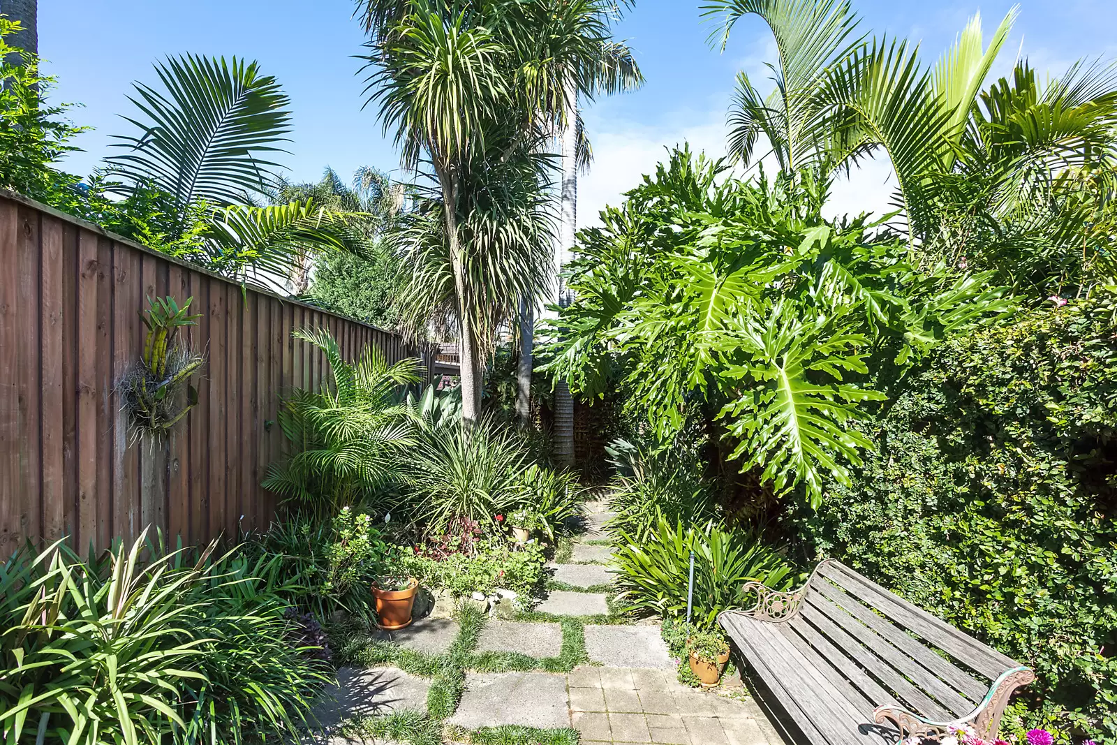 23 West Street, Paddington Sold by Sydney Sotheby's International Realty - image 8