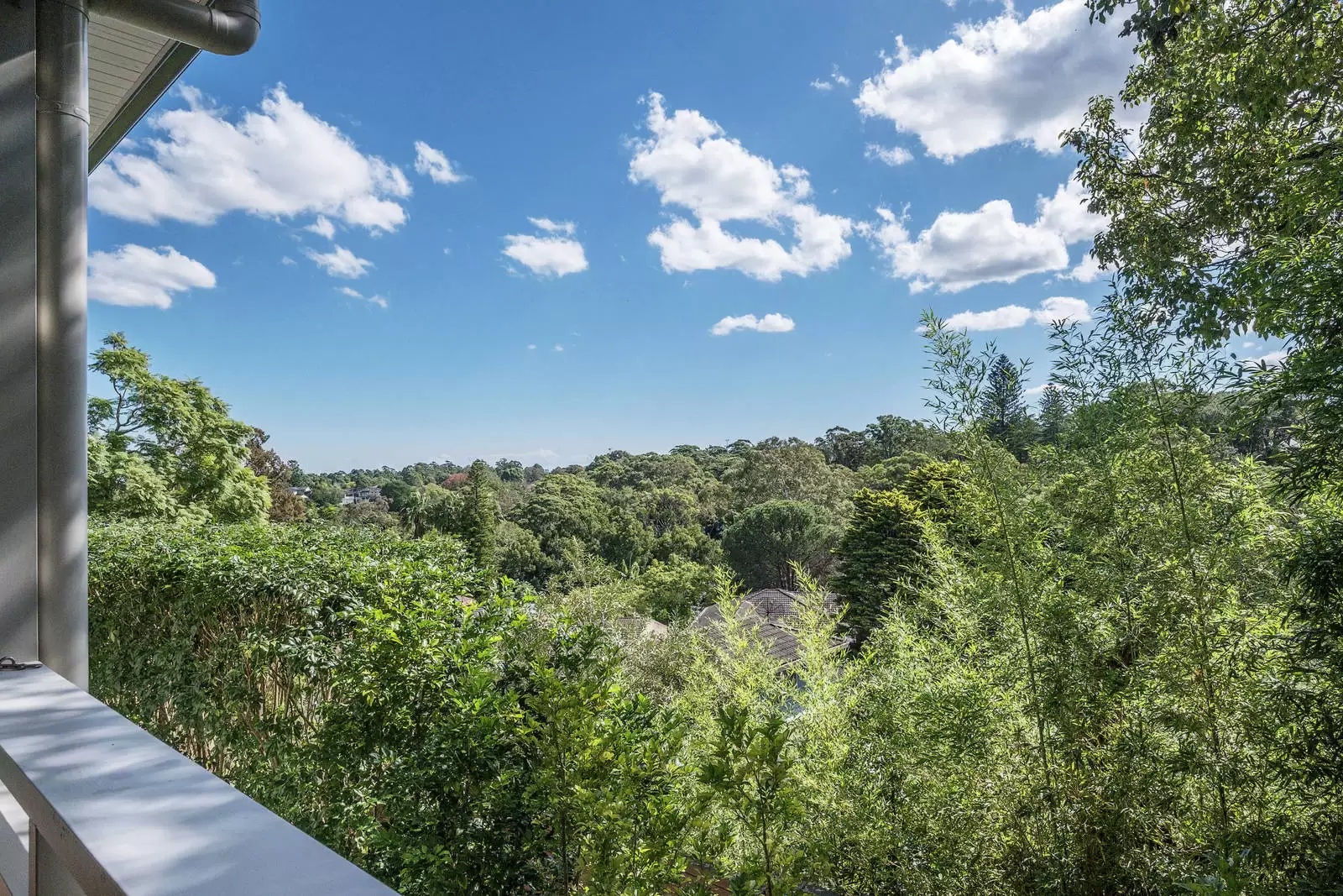 91 Bent Street, Lindfield Sold by Sydney Sotheby's International Realty - image 3