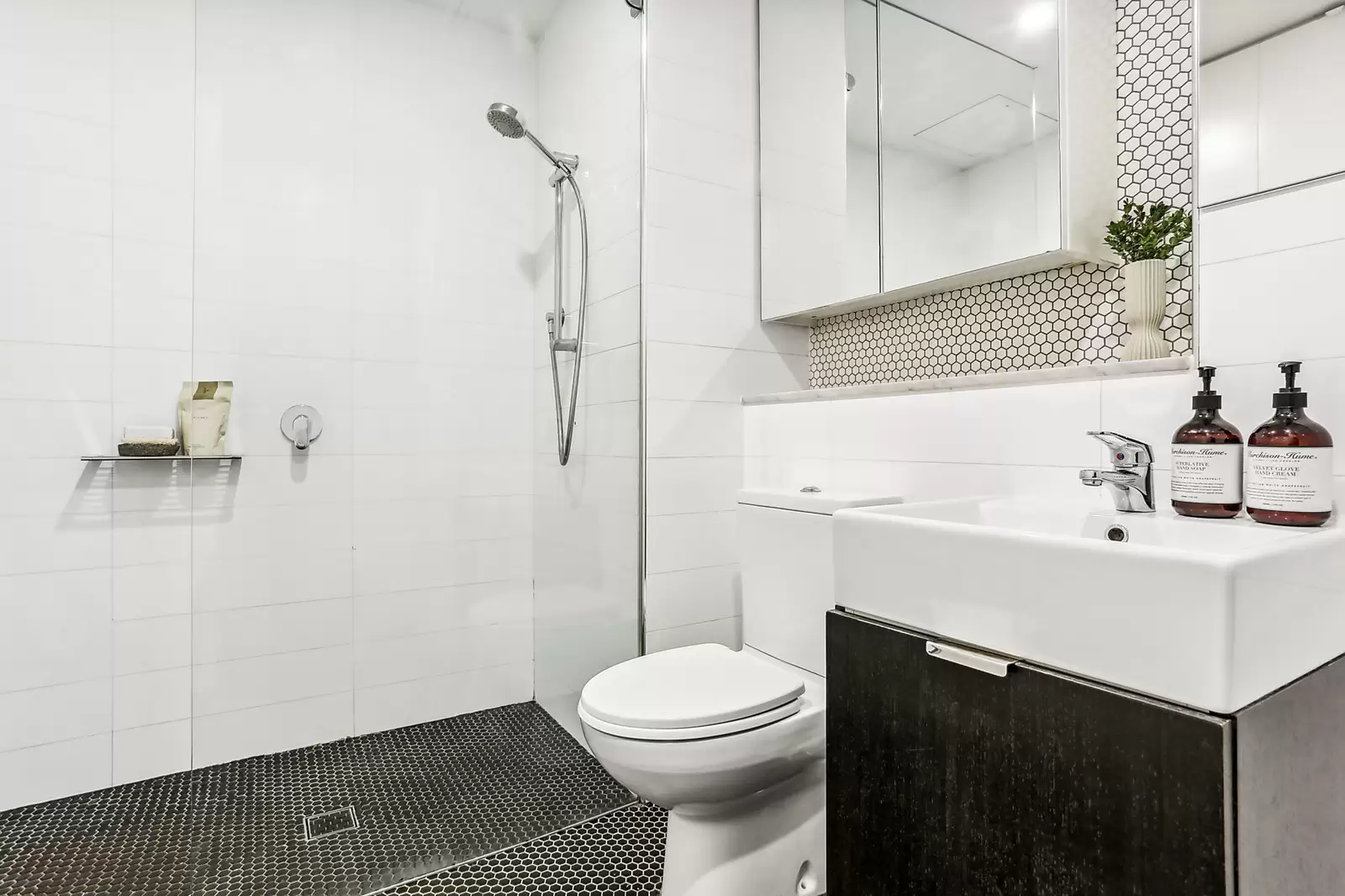 207/13-15 Bayswater Road, Potts Point Sold by Sydney Sotheby's International Realty - image 5