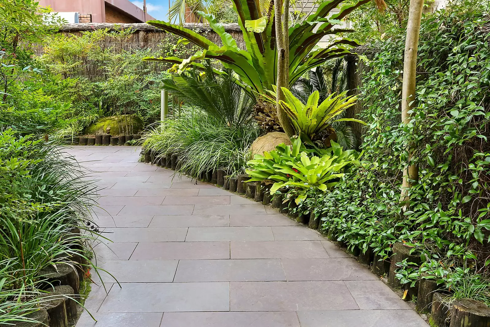 21/4 New Mclean Street, Edgecliff Sold by Sydney Sotheby's International Realty - image 8